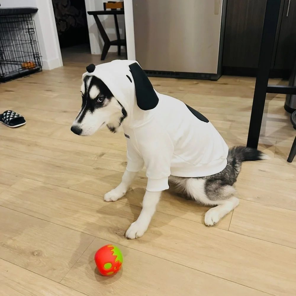 Snoopy Dog Hoodie size Medium